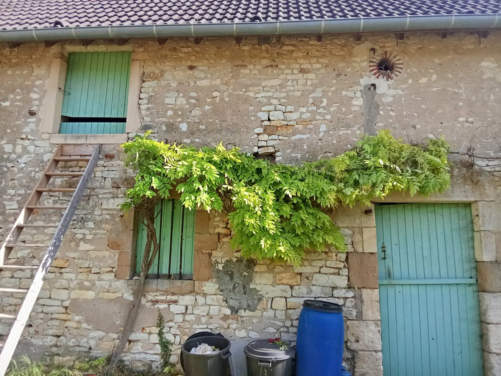 Un mur de pierre de la ferme, une glycine, des volets et une porte vert d'eau.
