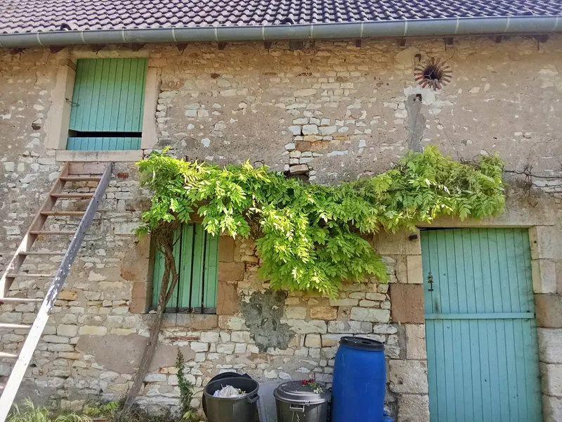 Un mur de pierre, une glycine, des volets et une porte vert d'eau.